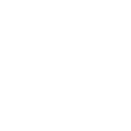 Vegan